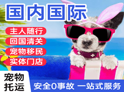 查干湖空运代理国际宠物托运 【国
